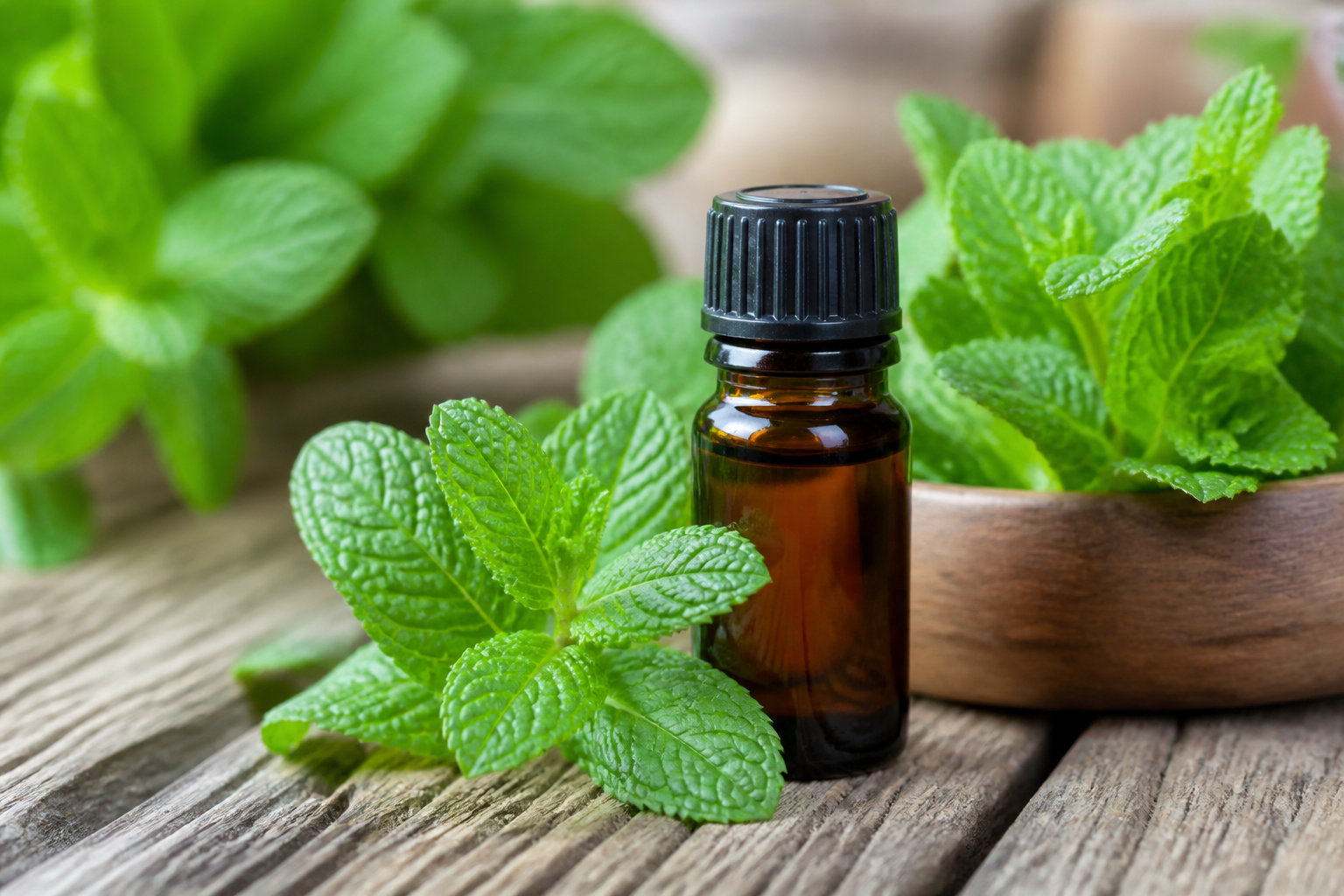 L'huile essentielle de menthe poivrée contre les douleurs vives